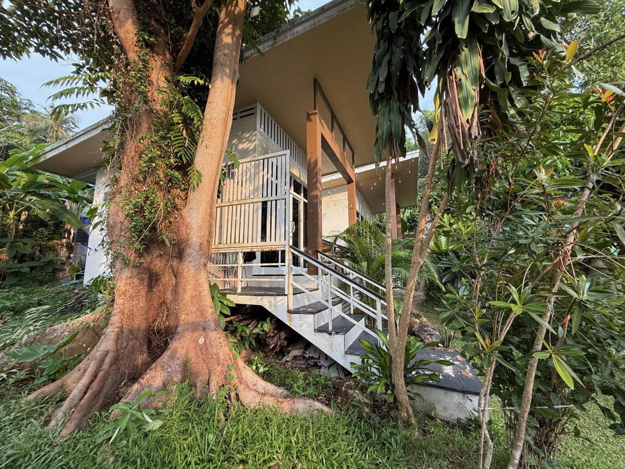 Beach Jungle Koh Chang Bagian luar foto